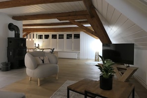 Smart-TV, peis, bøker og musikkbibliotek