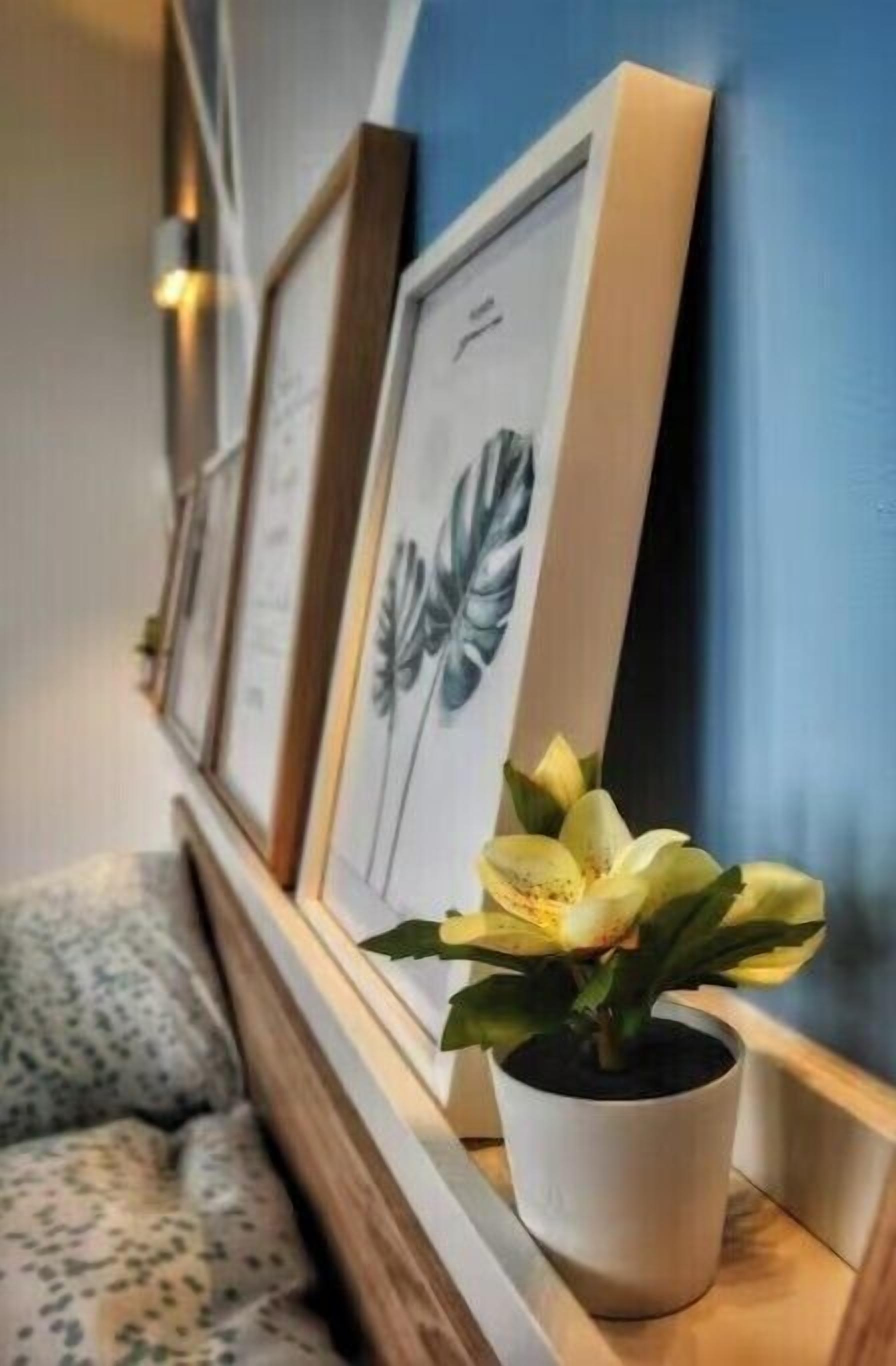 Un mur orné de reproductions botaniques encadrées et agrémenté d’une plante en pot.