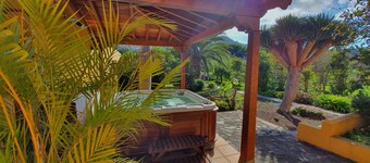 Emblematic House "La Arañita".