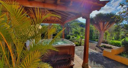 Emblematic House "La Arañita".