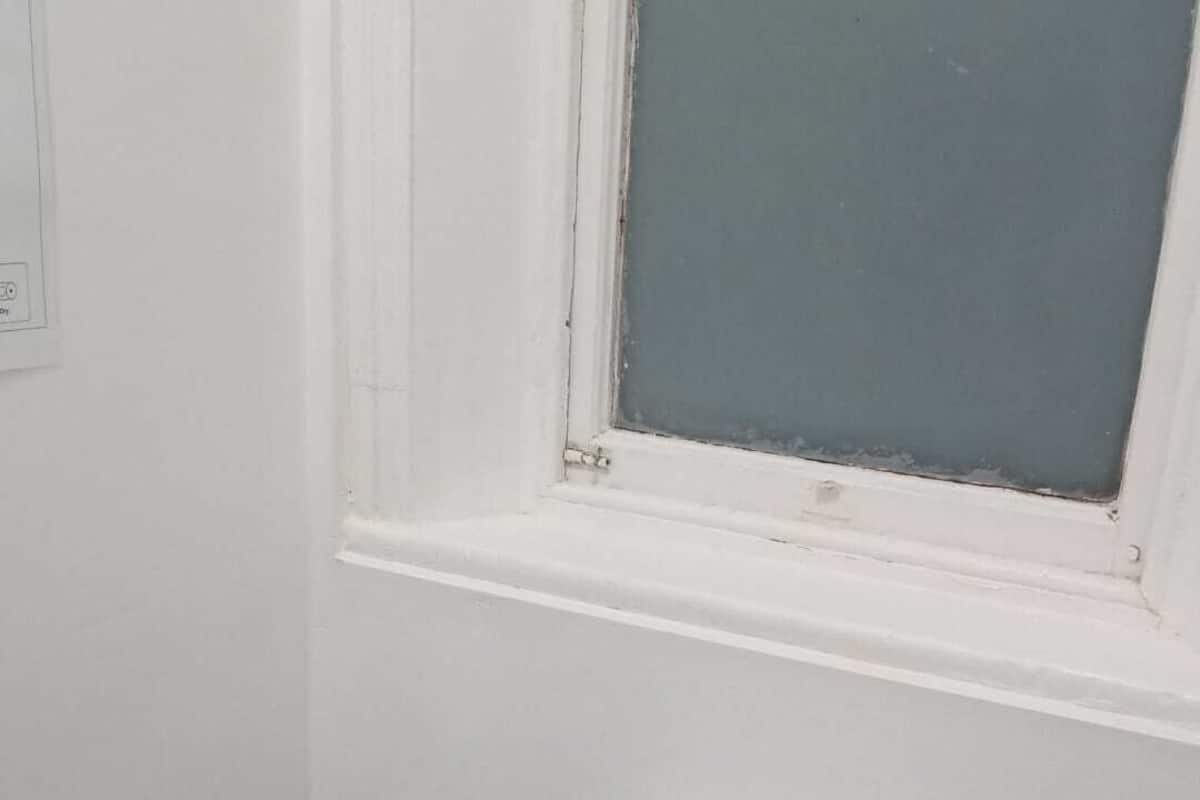 Ducha, toallas, shampoo, papel higiénico