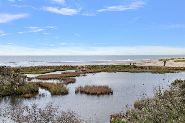 A coastal landscape with a beach, marshy areas, and a clear sky. - Luxury 5BR Oceanview ~ Chiltren By the Sea (Edisto Island)