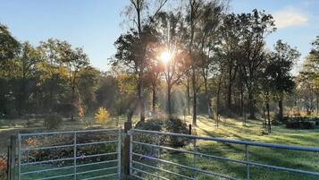 House | View from property