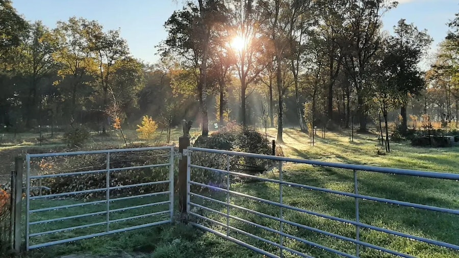 Beautiful Group Accommodation Near our own Food Forest