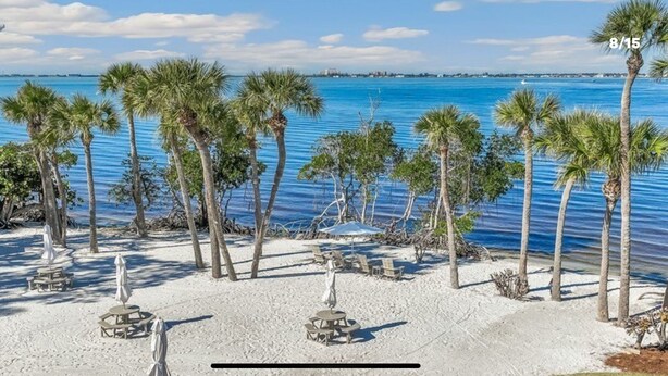 A beach with palm trees, lounge chairs, and umbrellas. - Gated community condo with private island minutes to Fort Myers Beach or Sanibel (Fort Myers)