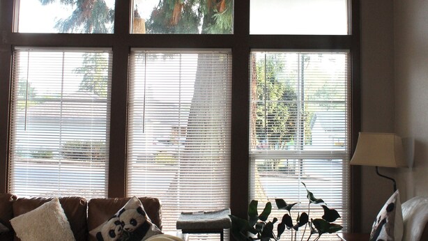 A living room with a brown sofa, a white armchair, and a potted plant. There are large windows with blinds, and a lamp on a side table. - Kelso Pitstop (Kelso)