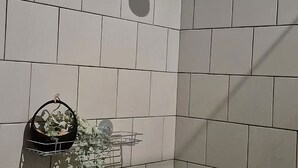 Ducha con grifo de pared y planta colgante.