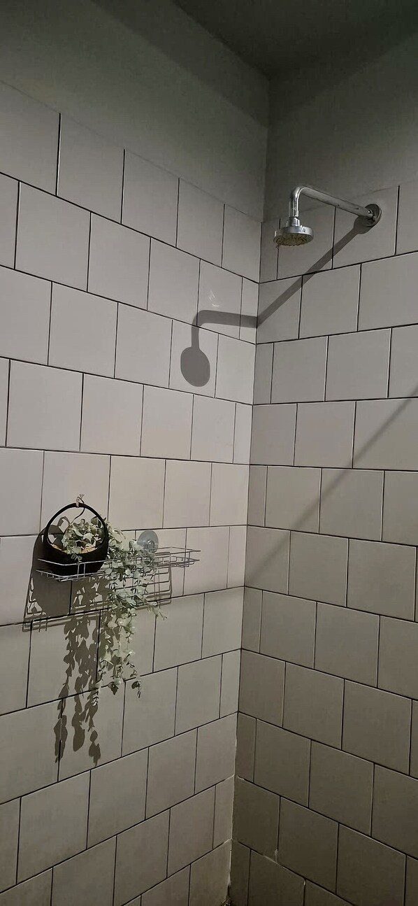 A shower with a wall-mounted faucet and a hanging plant.
