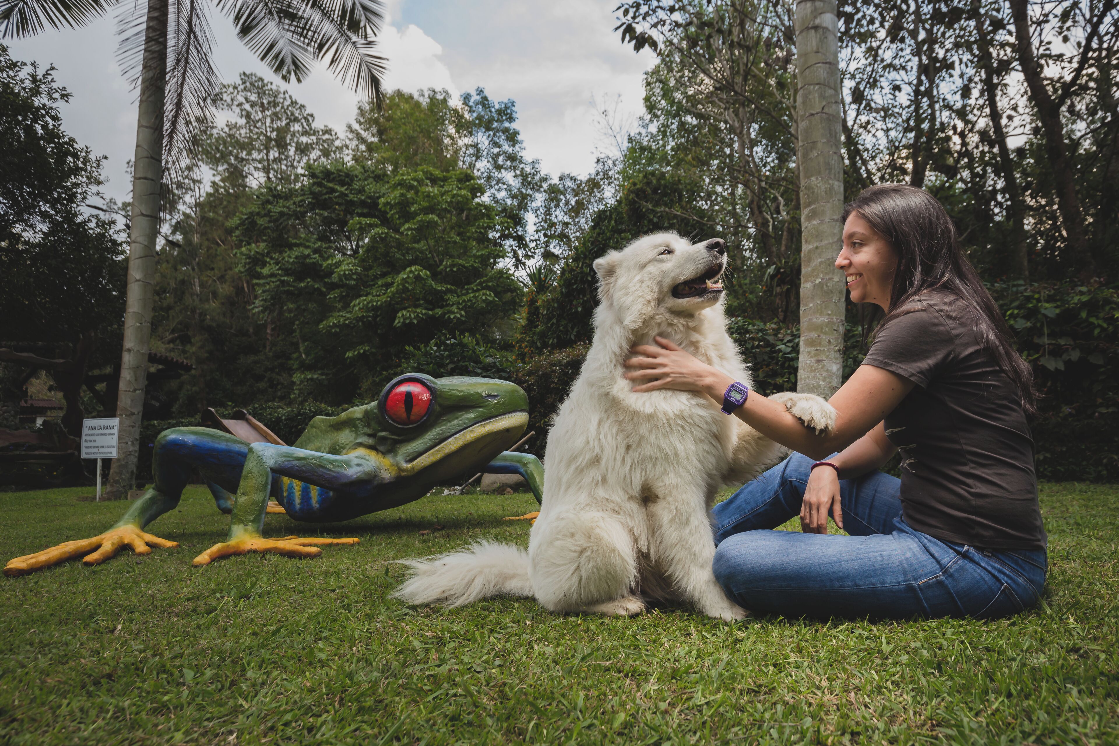 A person sitting on grass with a large white dog.