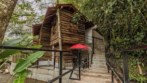 A wooden cabin with a staircase leading to a balcony, surrounded by lush greenery. - ECOHOTEL PIEDEMONTE (Salento)