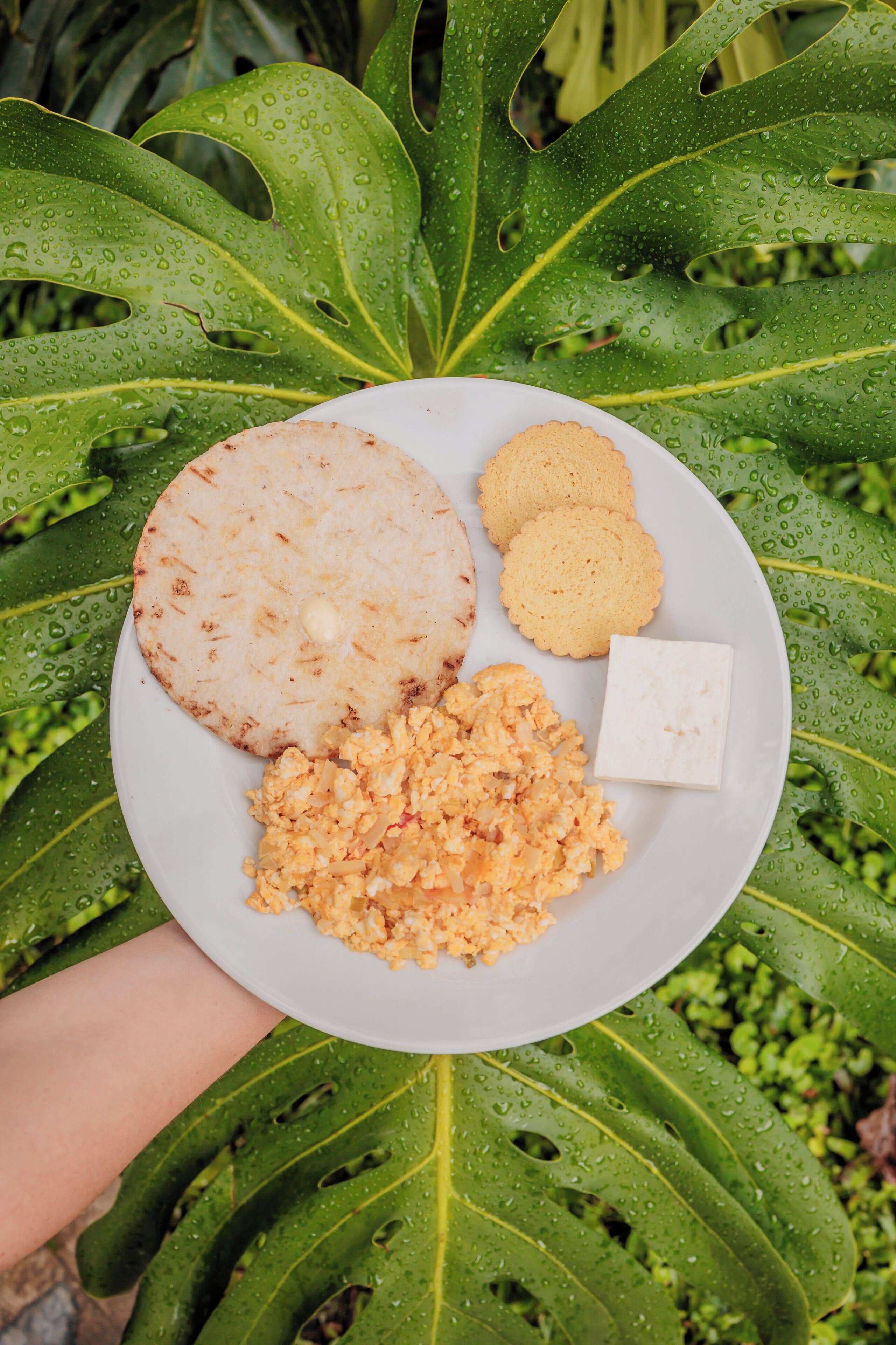A plate with food items including a flatbread, scrambled eggs, and cookies, held against a backdrop of large green leaves with water droplets.