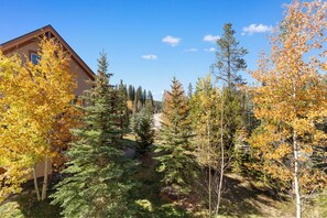 Studio (3 Bedrooms) | Exterior