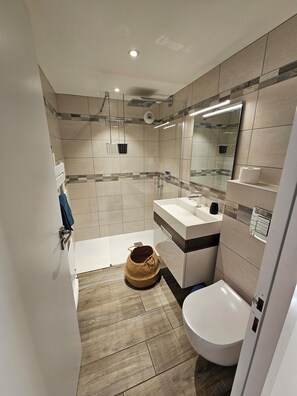 Dusche, Haartrockner, Handtücher, Toilettenpapier