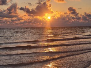 Beach - Stunning 7th Floor Gulf-Front Corner Condo with Panoramic Views Redington Shores (Redington Shores)