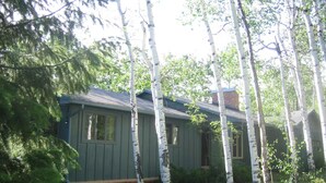 A small, single-story cabin with a green exterior and a brick chimney, surrounded by birch trees.