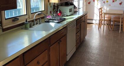 Classic Aspen 3-Bedroom w/ Views of the Valley