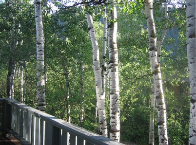 Classic Aspen 3-Bedroom w/ Views of the Valley