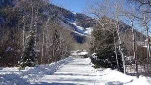 A snow-covered road flanked by leafless trees and mountains in the background.