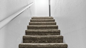 Un escalier dont les marches sont recouvertes de moquette, menant à un palier où se trouve un luminaire.