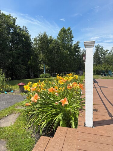 Gather in Castine - 4BR Retreat w/ Fire pit and Big Outdoor Space