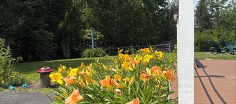 Gather in Castine - 4BR Retreat w/ Fire pit and Big Outdoor Space