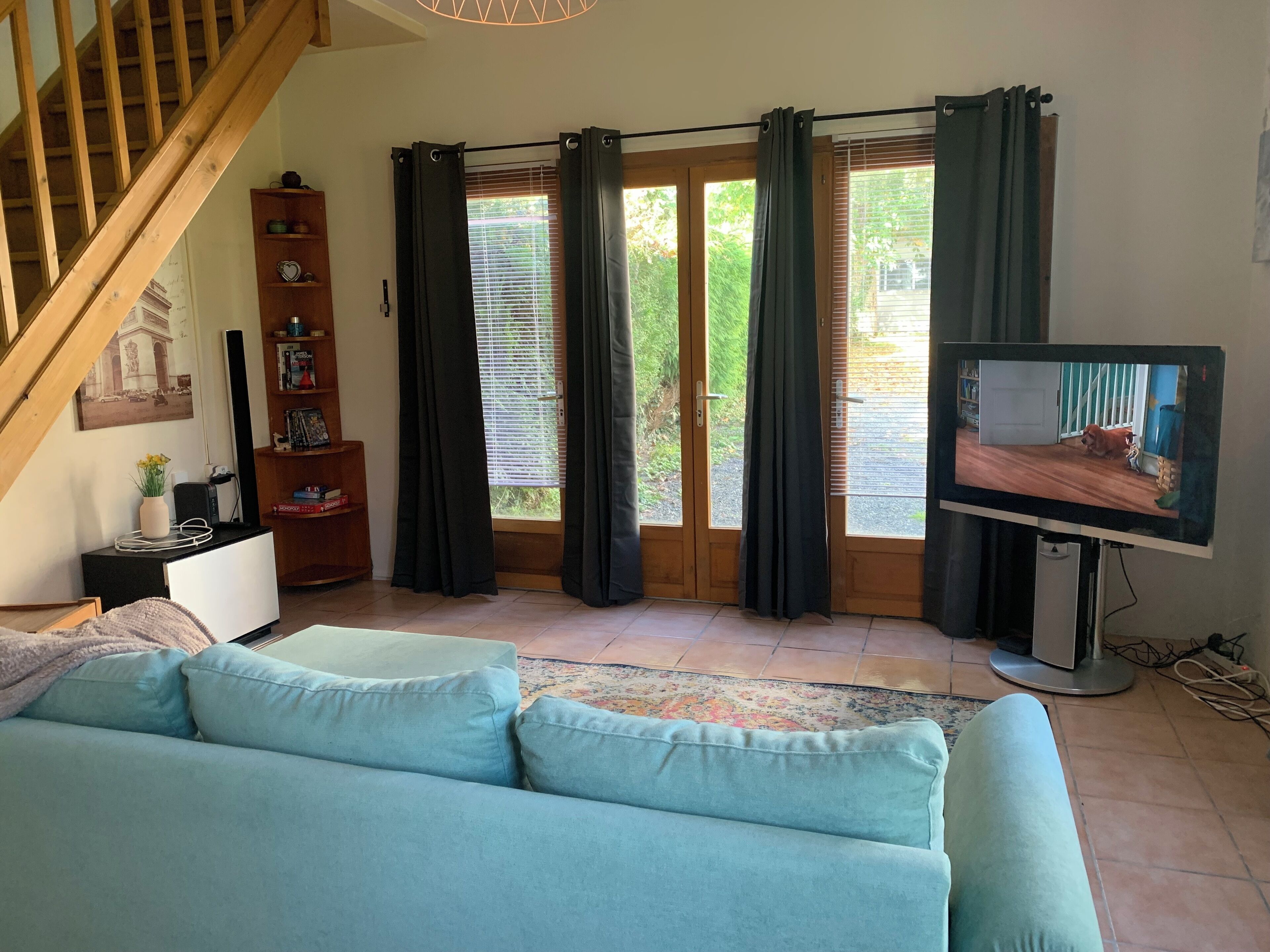 Televisión, chimenea y reproductor de DVD 