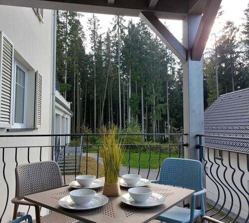 Lakeside Heaven. Apartment directly in the Lipno reservoir