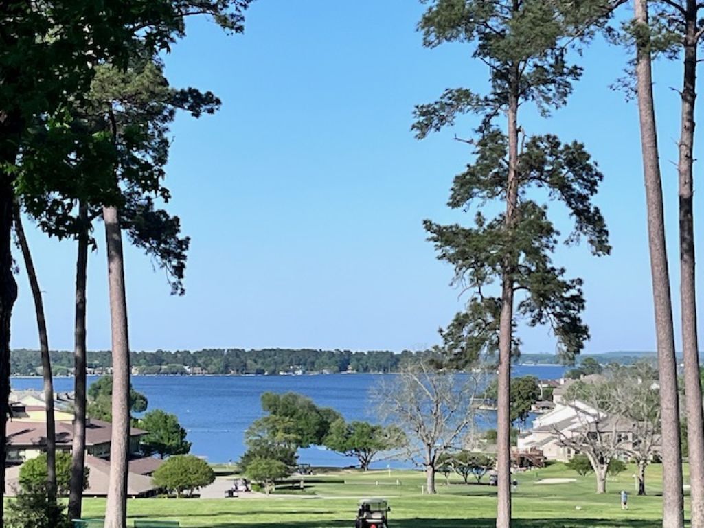 A golf course with a view of a lake and tall trees.