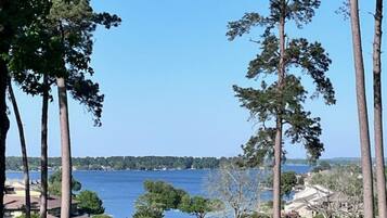 A golf course with a view of a lake and tall trees.