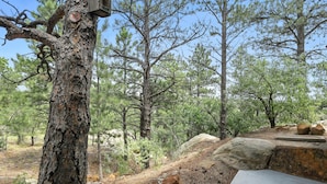 A forested area with a stone bench and a wooden structure.