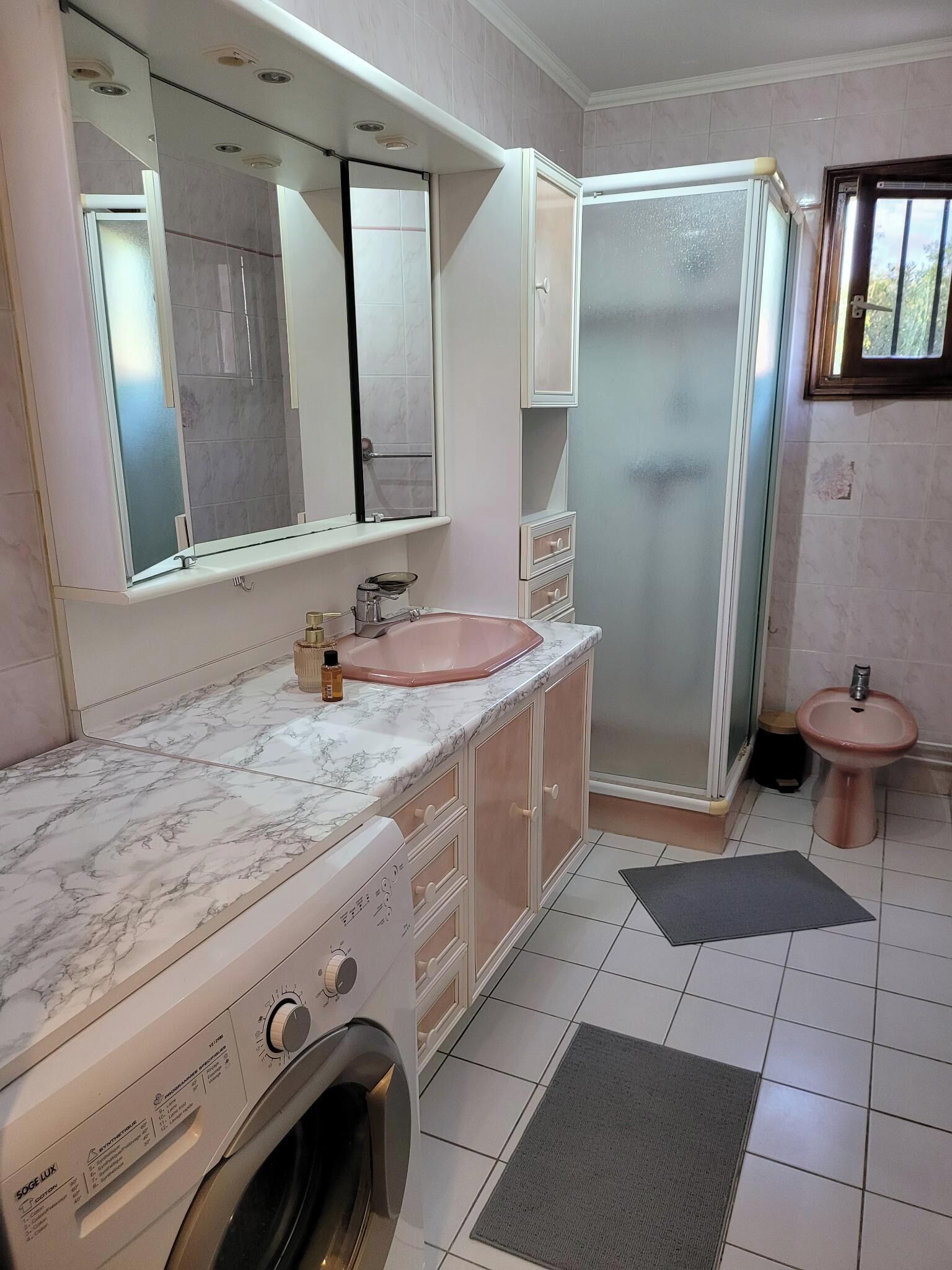 Shower, hair dryer, bidet, towels
