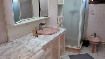 Shower, hair dryer, bidet, towels