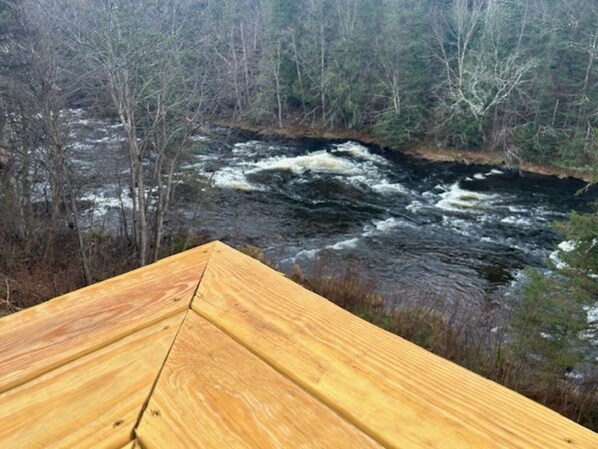 Property grounds - Tranquil Woods, Water and Wildlife (Pittsburg)