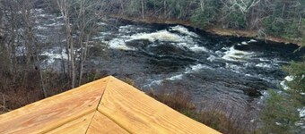 Tranquil Woods, Water and Wildlife