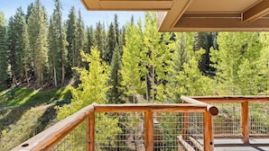 A wooden deck with a metal railing overlooking a forested area. - T3074-4 (Keystone)