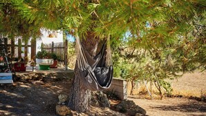 Eine Hängematte, die an einem Baum in einem Garten befestigt ist, mit Topfpflanzen und einem Holzzaun im Hintergrund.