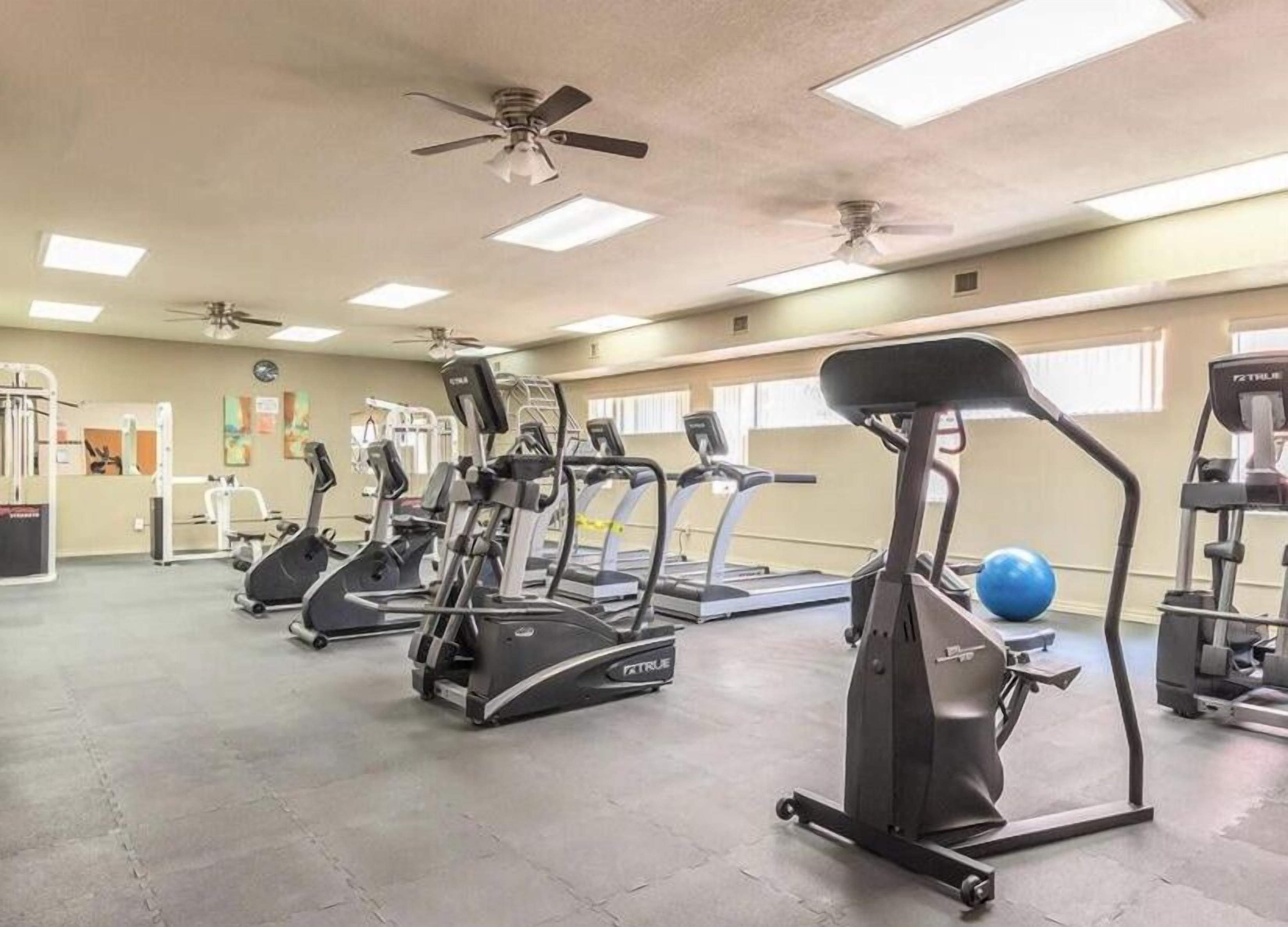 A gym with treadmills, elliptical machines, and free weights.