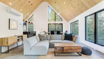 Smart TV, fireplace, video games, DVD player