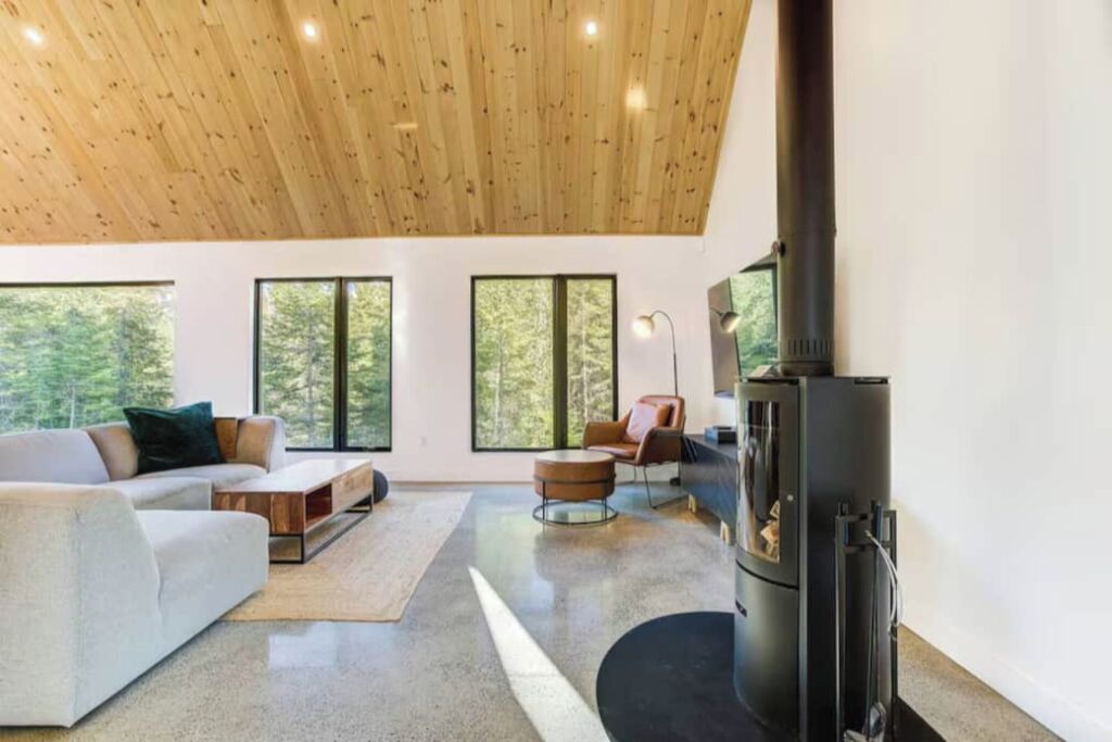 Smart TV, fireplace, video games, DVD player