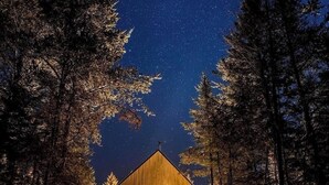 A wooden cabin with a sloped roof surrounded by tall trees, under a starry night sky. - Chalet OSLO | Design & forest | Spa - Silence (Saint-Cã´Me)