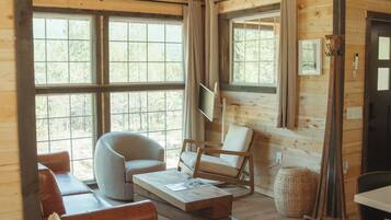 TV, fireplace, video games