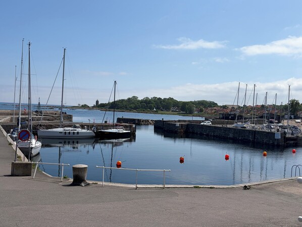 Un puerto deportivo con barcos amarrados, cielo despejado y una costa distante con edificios.
