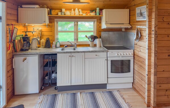 Fridge, stovetop, coffee/tea maker
