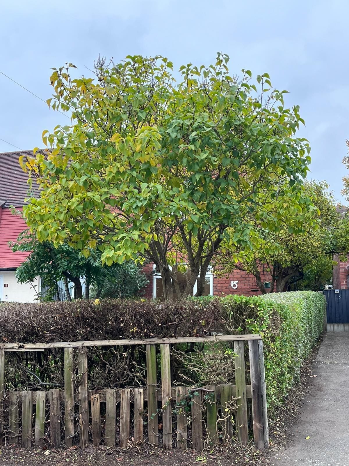 Áreas de la propiedad