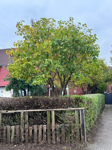 Family-Friendly 2BR Home • Ideal for Hospital Stays & Business