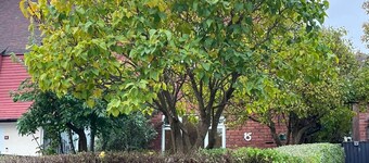 Family-Friendly 2BR Home • Ideal for Hospital Stays & Business