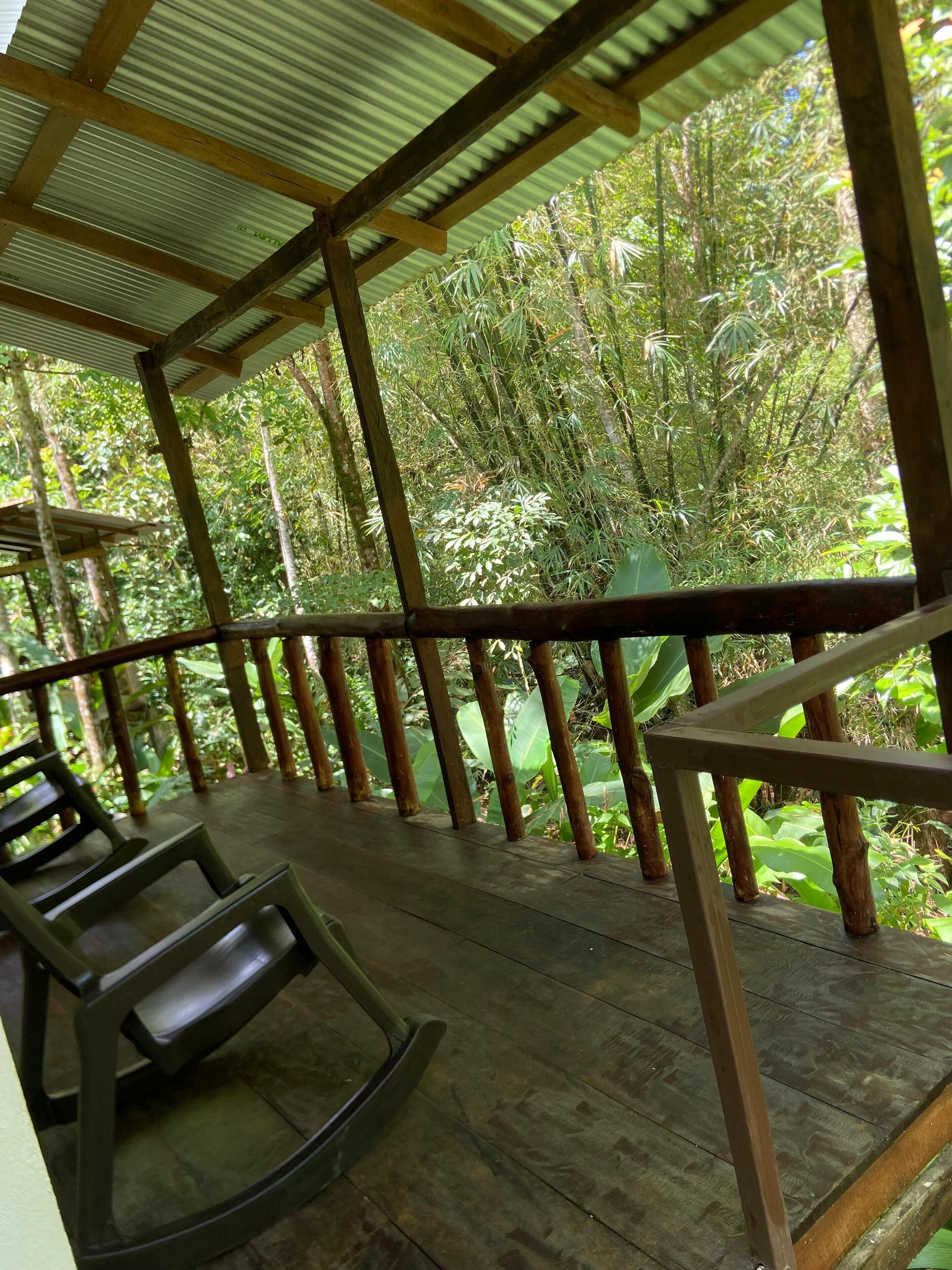 A wooden deck with a metal roof, surrounded by lush greenery.