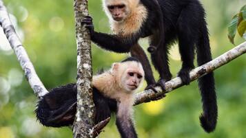 Façade de lâhĂ©bergement