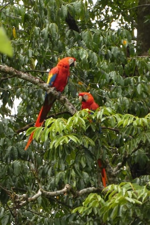 Motmot | Gratis wi-fi