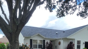 A house with a large lawn, a tree, and various plants.